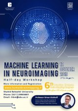 Machine Learning in Neuroimaging Workshop