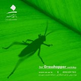 سومین کارگاه پیشرفته "طراحی پارامتریک": Grasshopper