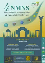 4th Nanomedicine and Nanosafety Conference (NMNS 2023)