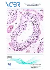Histomorphometric and stereological study of testicular tissue in diabetic rats following lead acetate and cinnamon treatment