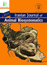 Contribution to the knowledge of Eremias strauchi strauchi Kessler, ۱۸۷۸ (Sauria: Lacertidae) from northwestern Iran