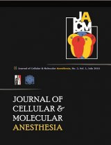 Potential Neuroprotective Effect of Apis dorsata Honey against Morphine Tolerance: An in vivo Study