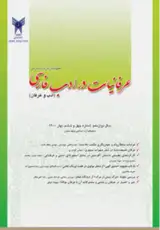 بنیادهای نگرش هنر عرفانی- اسلامی در دیوان حافظ