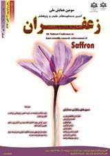 روغن زعفران و کاربردهای آن در طب سنتی ایران