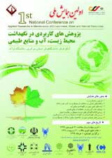 کلید نگهداشت محیط زیست ایران عملیاتی نمودن اقتصاد سبز است