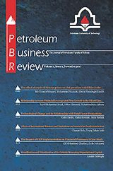 A Comprehensive Structural Equation Modeling for Financial Performance Evaluation of Petrochemical Companies
