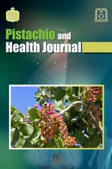 The effects of pistachio hydroalcoholic extract on stroke in permanent middle cerebral artery occlusion in ovariectomized female rats