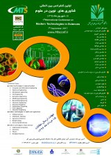 Synthesis, characterization, and catalytic application of mesoporous SAPO-34 molecular sieves