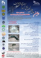 پردازش تصاویر میکرومورفولوژی خاک های منطقه استان کرمان توسط نرم افزار ENVI