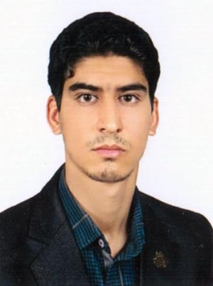 Reza Alipour Kondori