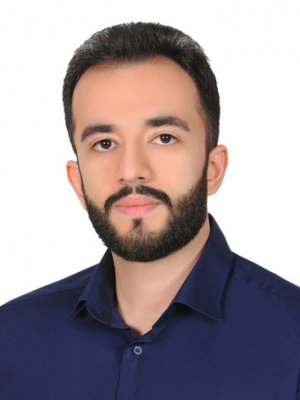 Hamed Salehi