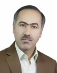 Mojtaba Poursalimi