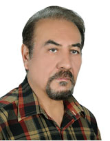 Shahrokh Hosseini Hashemi