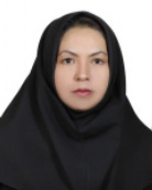 Zeynab Nourozi