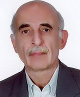 Mehdi Taqvi