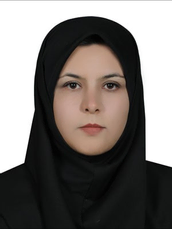 Amireh Nourbakhsh