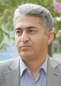 Farid Najafi