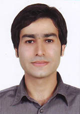 Mohammad Amin Erfan Manesh