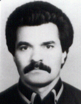 Hamid Iran Nejad