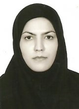 Somayeh Alipour