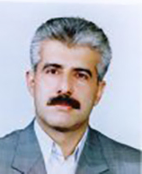 Ramin Amirsasan