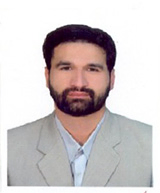 Mohamad Reza Hamedi Nia