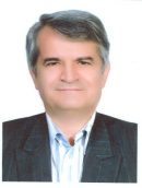 Mohamad Hossein Adabi