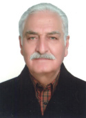 SeyedReza Mousavi Harami