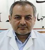 Hossein Hosein Zadeh