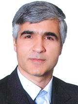 Mohsen  Hamedi