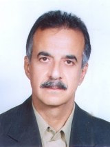 Seyed Mohsen Habibi