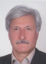 Mohammad Hadi  Farahi
