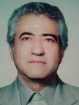 Mohamad Seifi