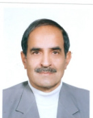 Hasan Saraei
