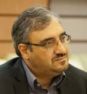 Mohamad Reza Vijeh