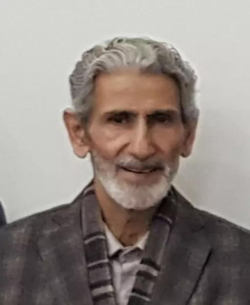 Mohamad Ali Ahmadian