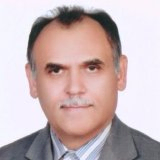Mohamad Reza Ghane