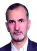 Seyed Majdedin Mir Mohamad Hoseini