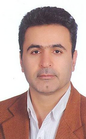 Reza Rajabi
