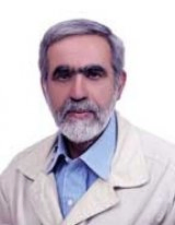 Abdolhamid Noghrekar