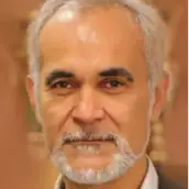 Seyed Mohsen Hosseini