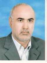 Seyed Mohammad  Teyebi