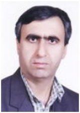 Mojtaba Bahmani