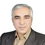 Ali Shahidi