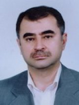 Mohammad Reza Mehrgan