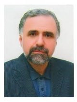 Seyed Hasan Alamolhodaei