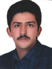 Mohammad Mahdi Abedi