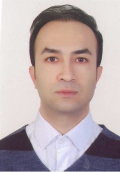 Hamid Mirzaeefard