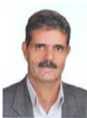 Hossein Alavije Mirzaei