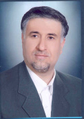 Mohammad Reza Haji Esmaeli